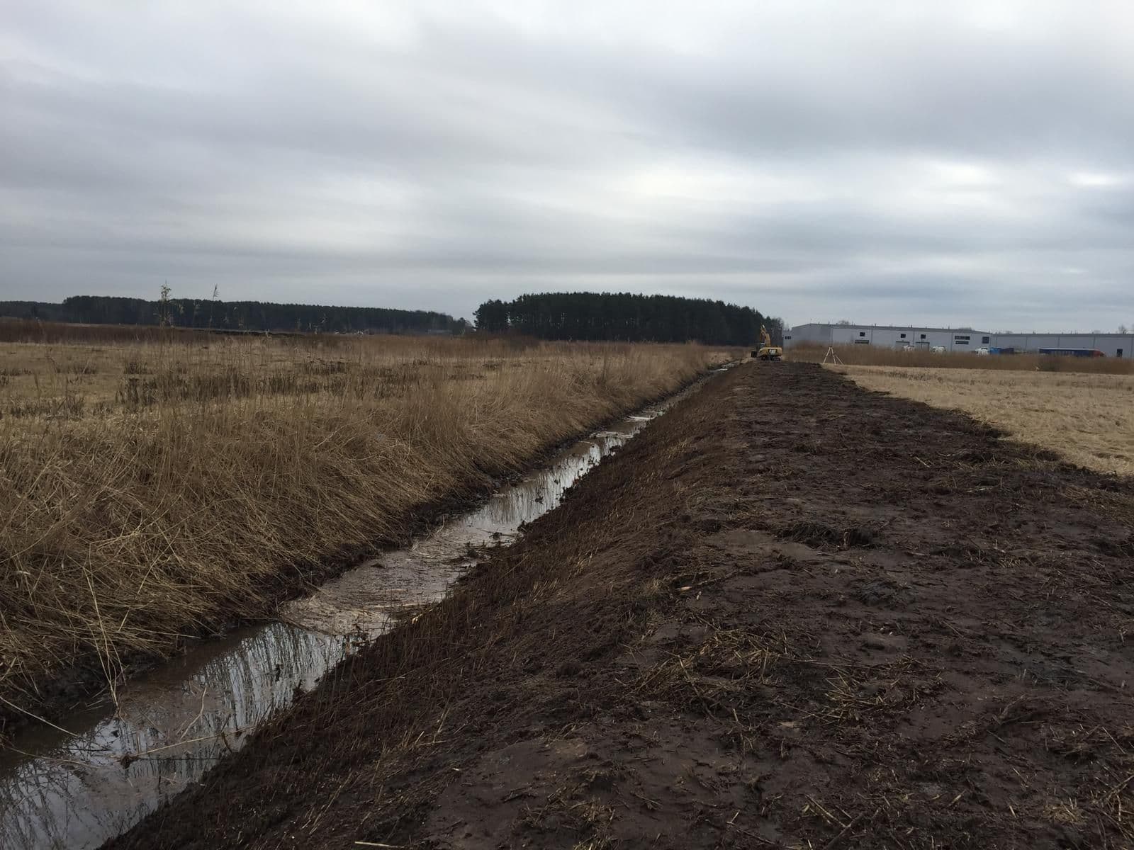 WhatsApp Image 2025-05-12 at 21.37.29.jpeg